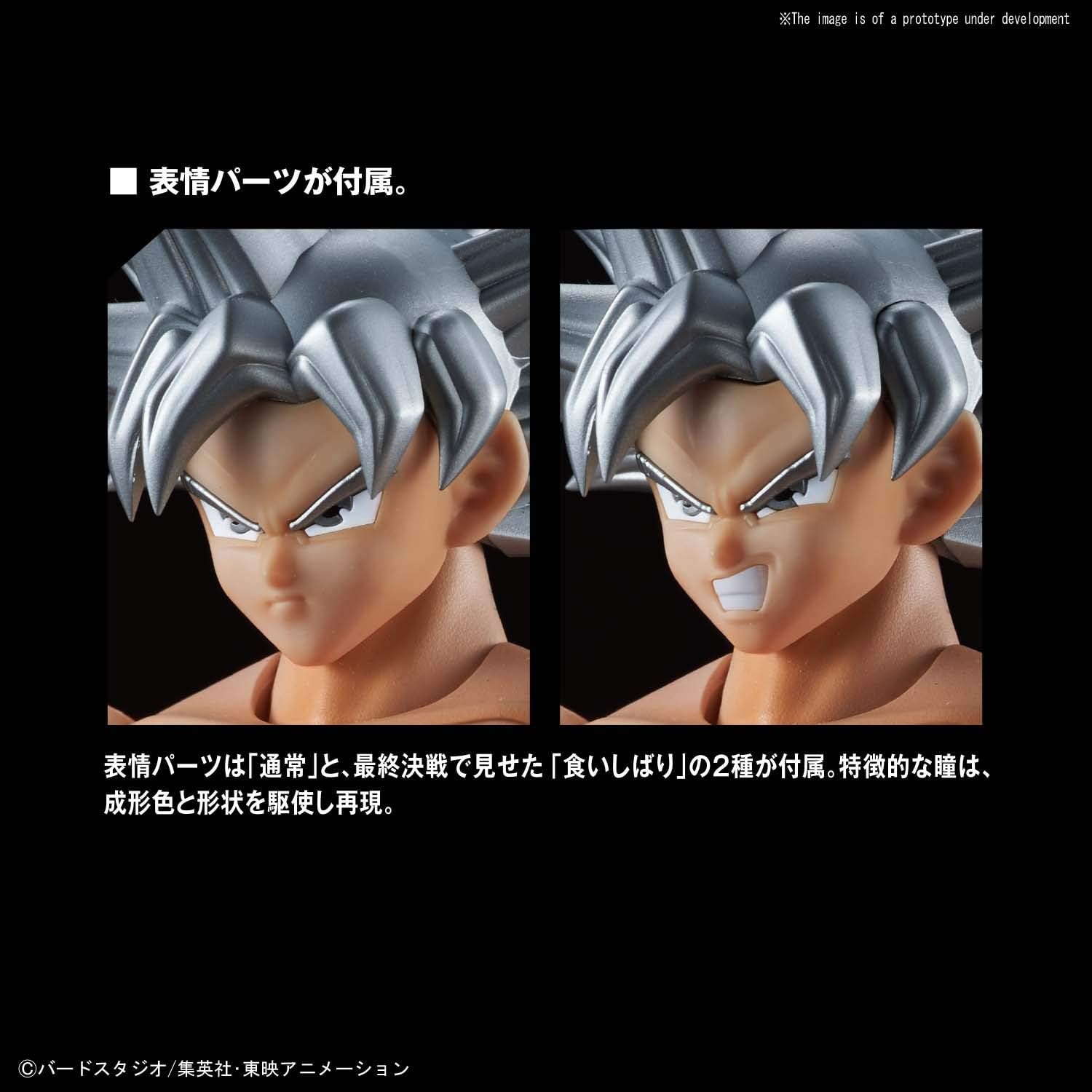 Bandai Hobby Figure-Rise Standard Super Saiyan God Super Saiyan Vegeta Dragon Ball Super, White(White)