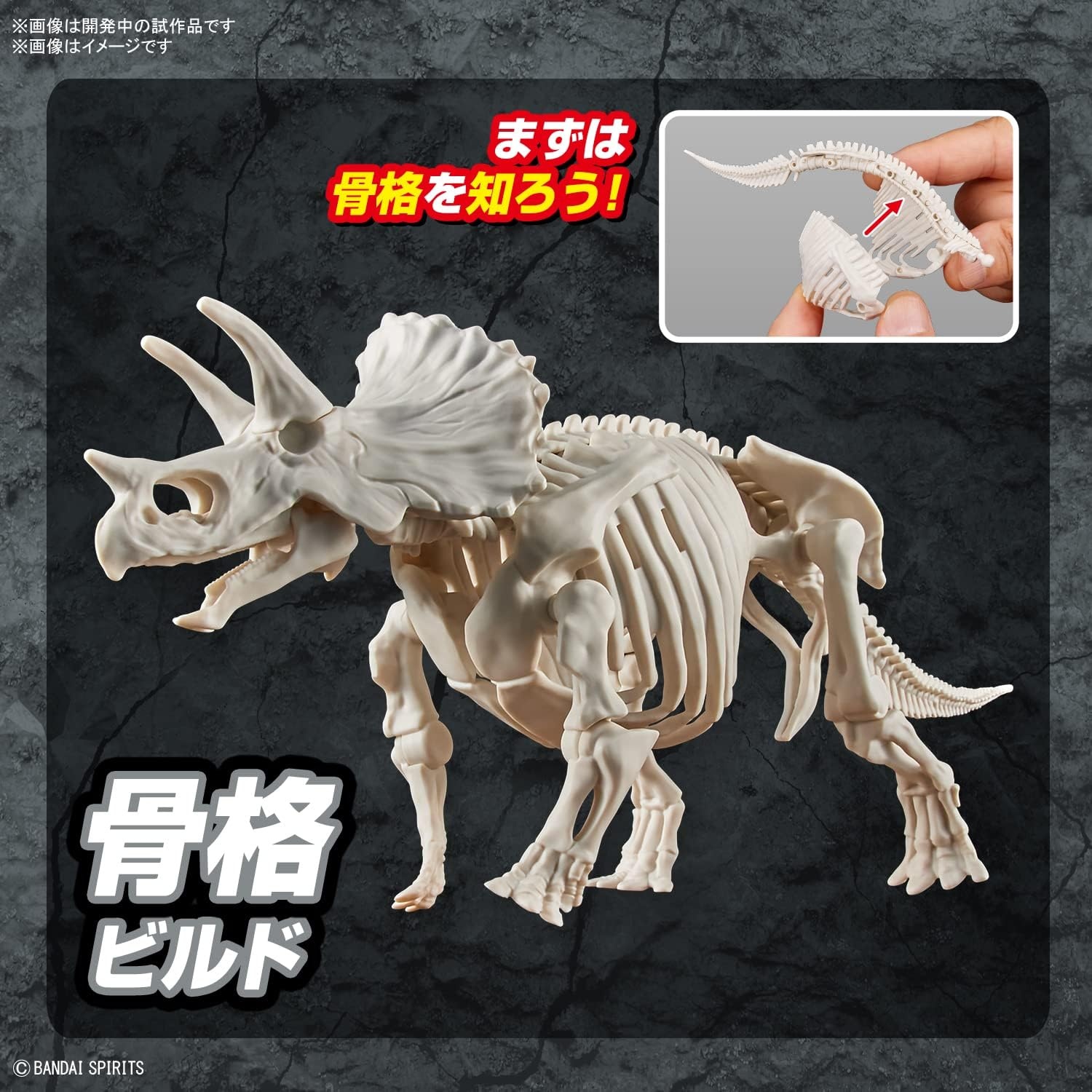 Bandai Hobby – Plannosaurus – #02 Triceratops, Bandai Spirits Dinosaur Model Kit