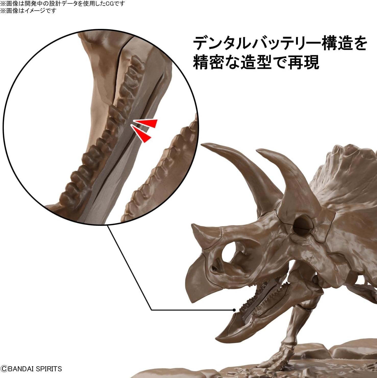 Bandai Hobby – Dinosaur – Triceratops, Bandai Spirits Imaginary Skeleton 1/32 Model Kit