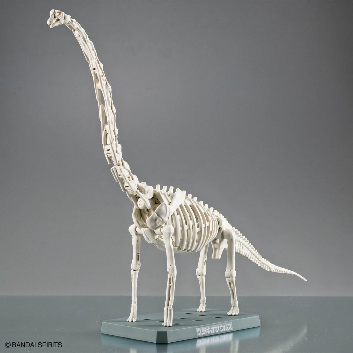 Bandai Hobby – Plannosaurus – #10 Brachiosaurus Dinosaur Model Kit(Brachiosaurus)