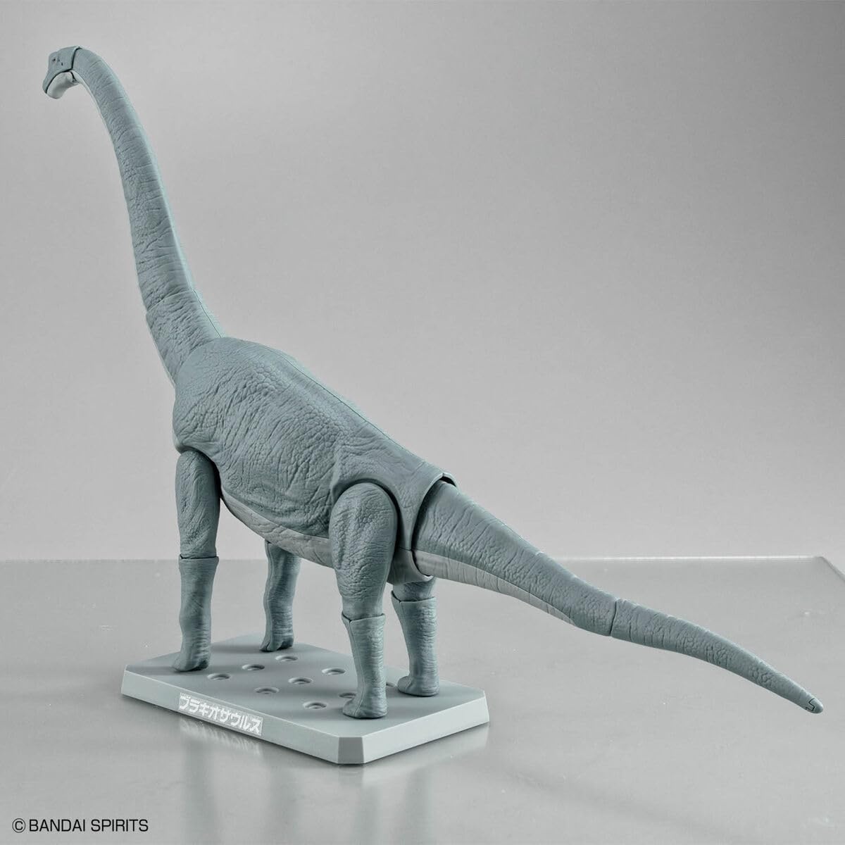 Bandai Hobby – Plannosaurus – #10 Brachiosaurus Dinosaur Model Kit(Brachiosaurus)