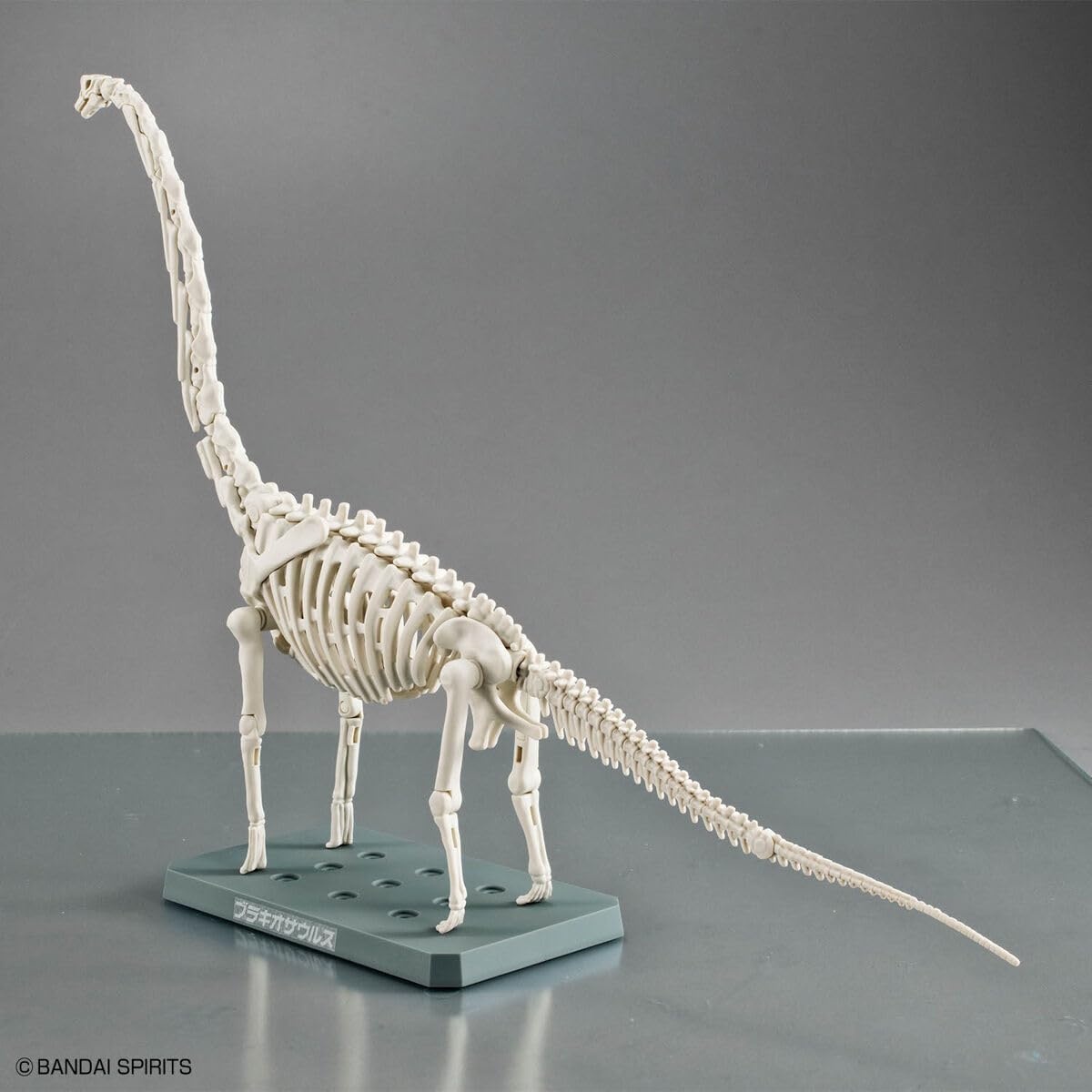 Bandai Hobby – Plannosaurus – #10 Brachiosaurus Dinosaur Model Kit(Brachiosaurus)
