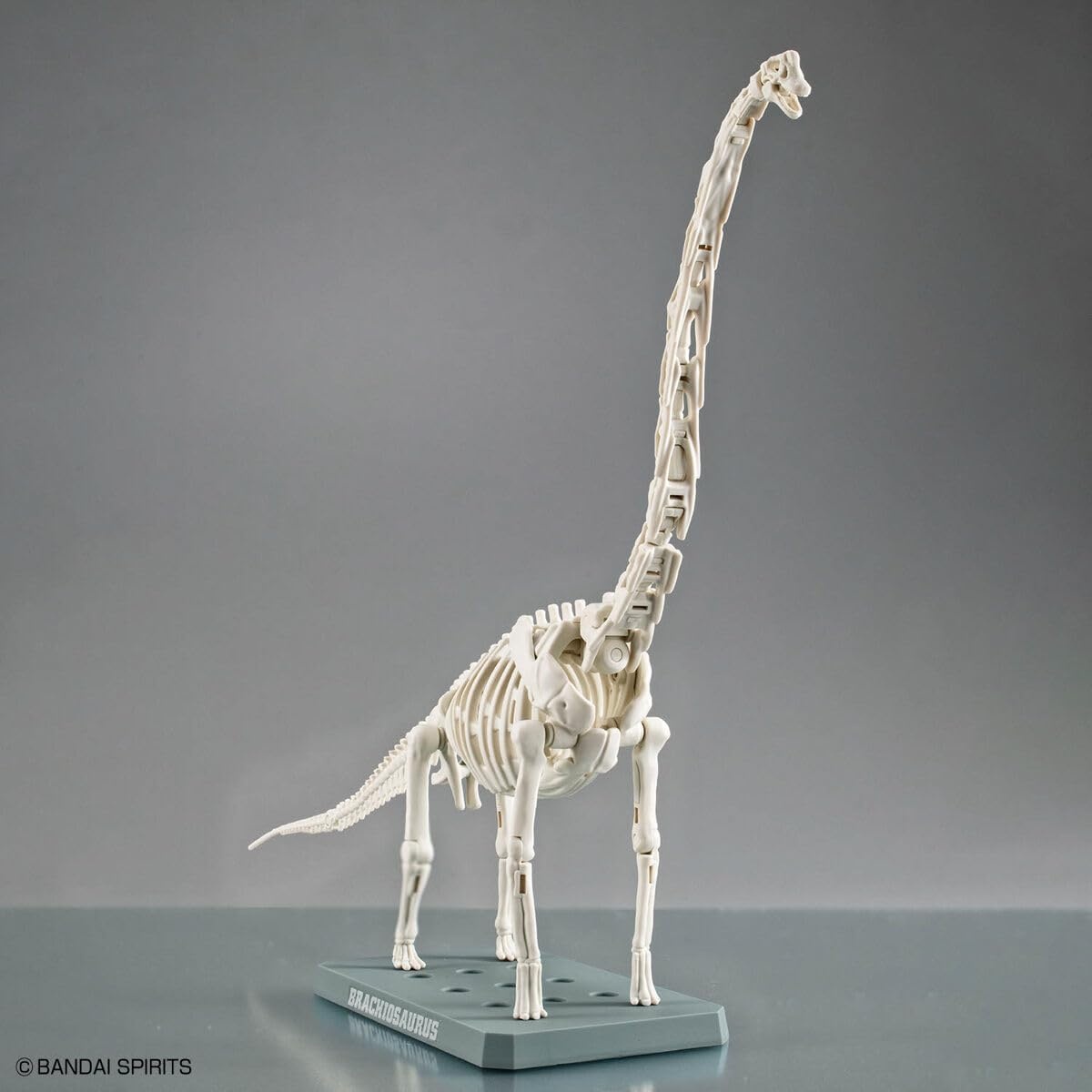 Bandai Hobby – Plannosaurus – #10 Brachiosaurus Dinosaur Model Kit(Brachiosaurus)