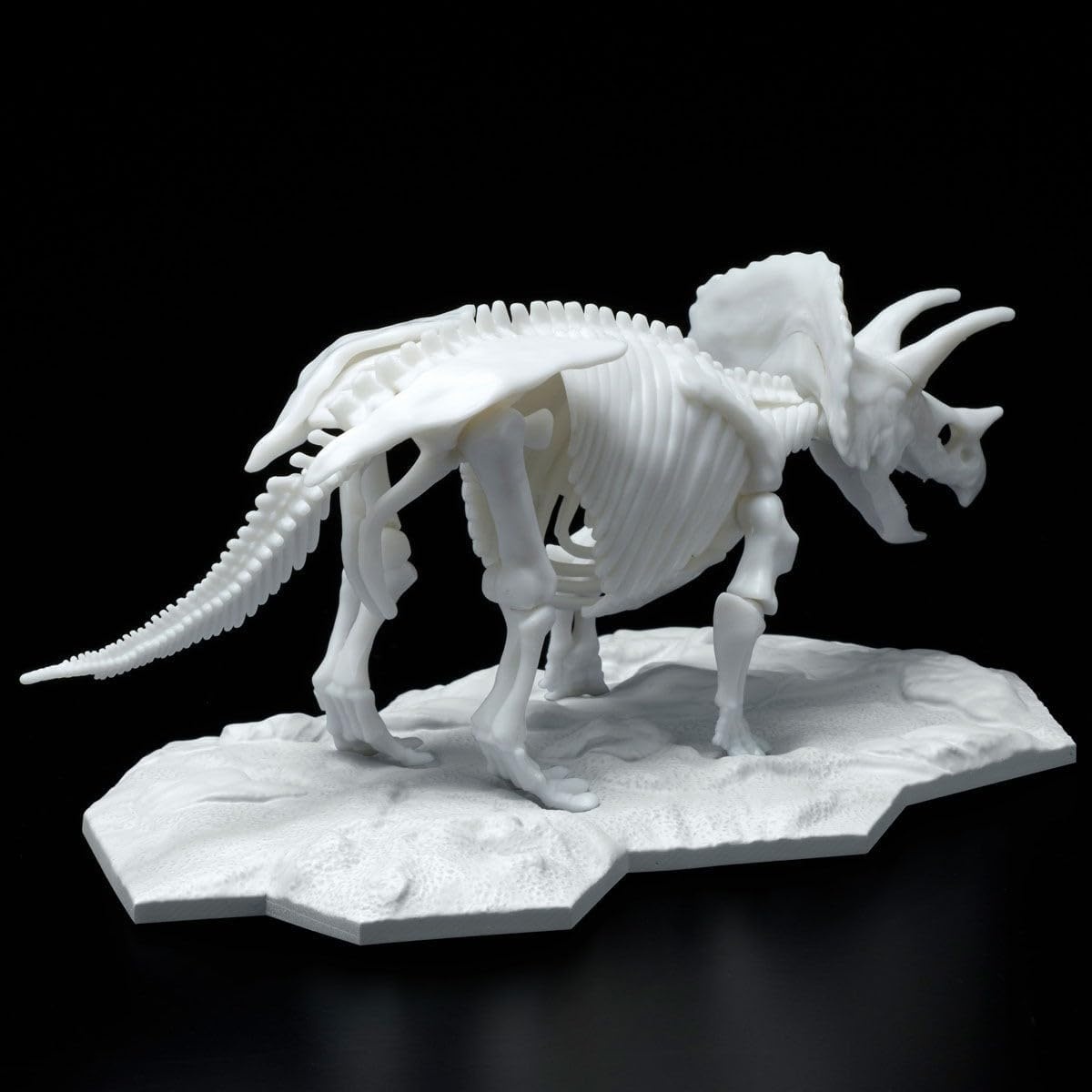 Limex Bandai Hobby – Dinosaur – Triceratops, Bandai Spirits Dinosaur Skeleton Model Kit