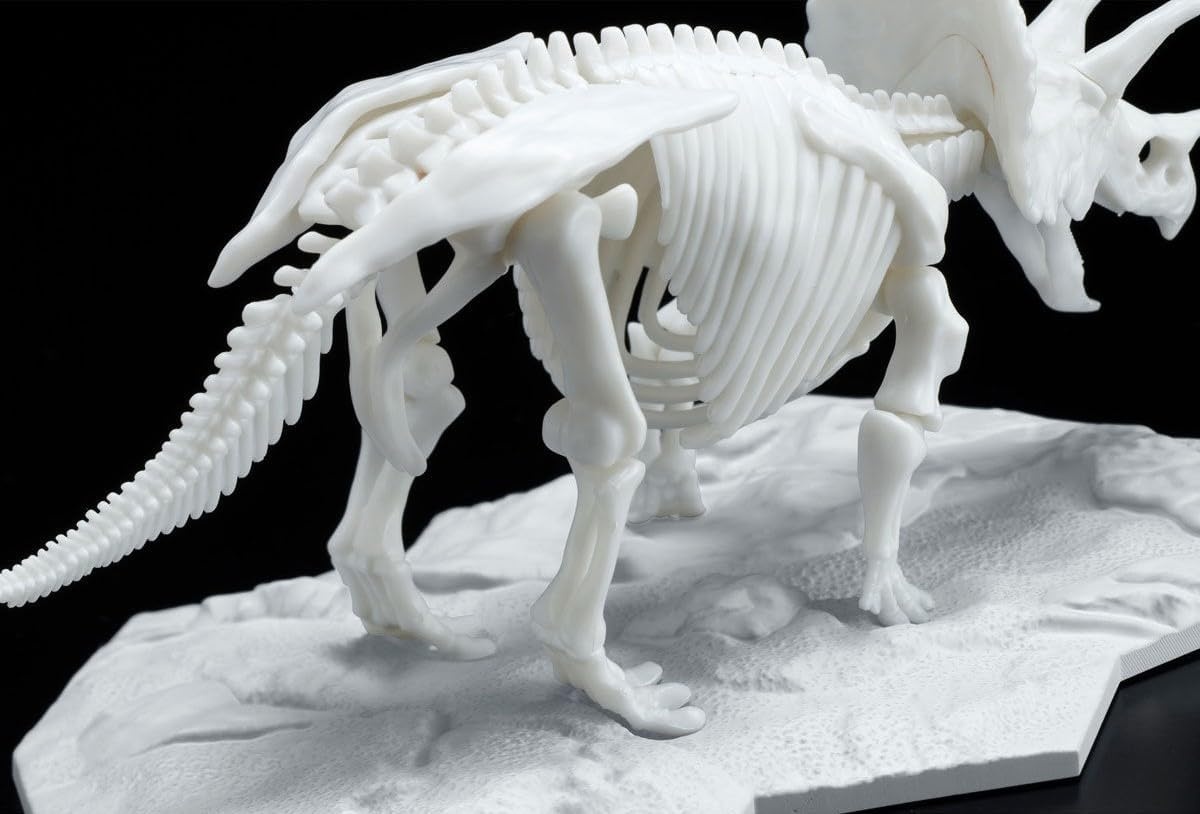 Limex Bandai Hobby – Dinosaur – Triceratops, Bandai Spirits Dinosaur Skeleton Model Kit