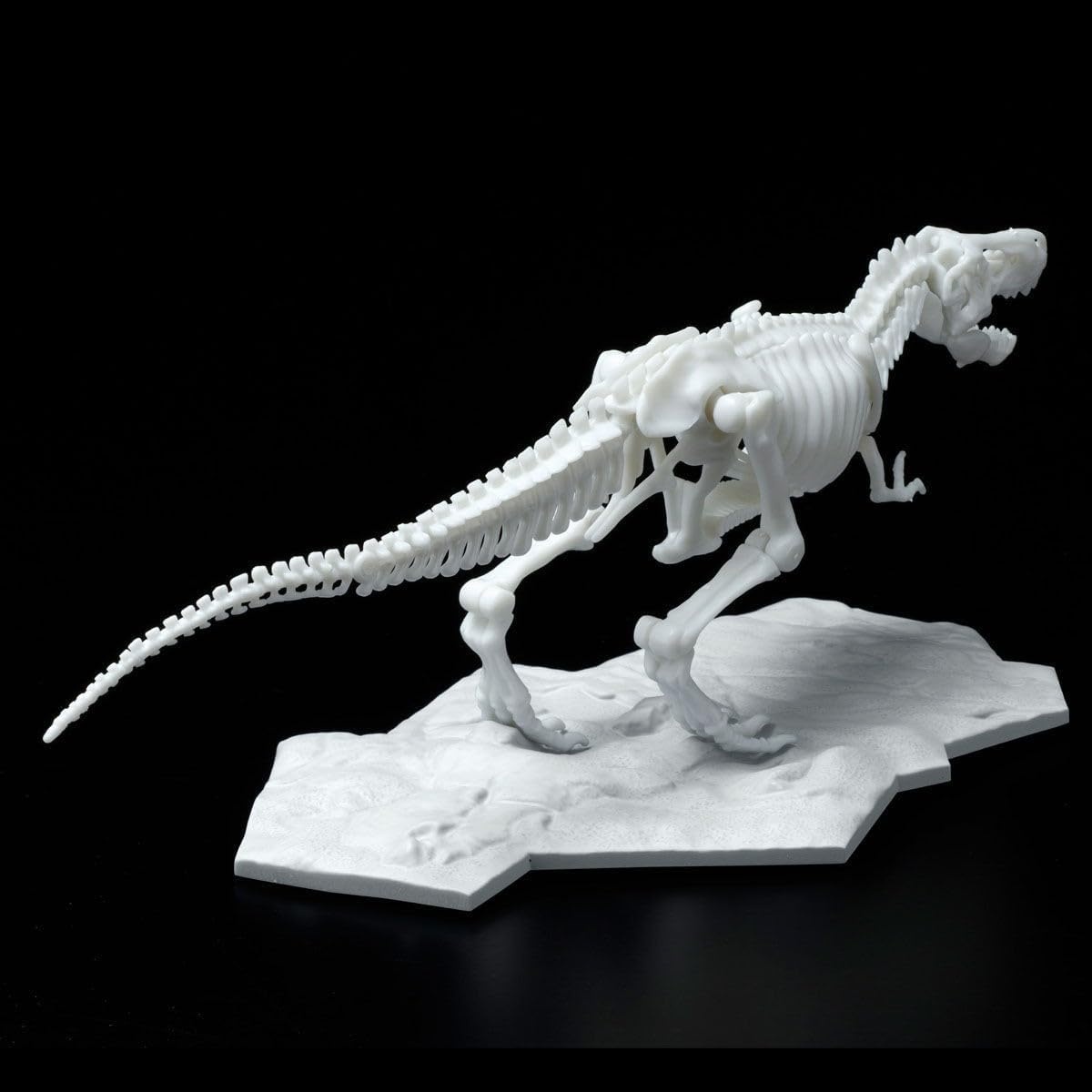 Bandai Hobby – Tyrannosaurus, Bandai Spirits Limex Skeleton Dinosaur Model Kit