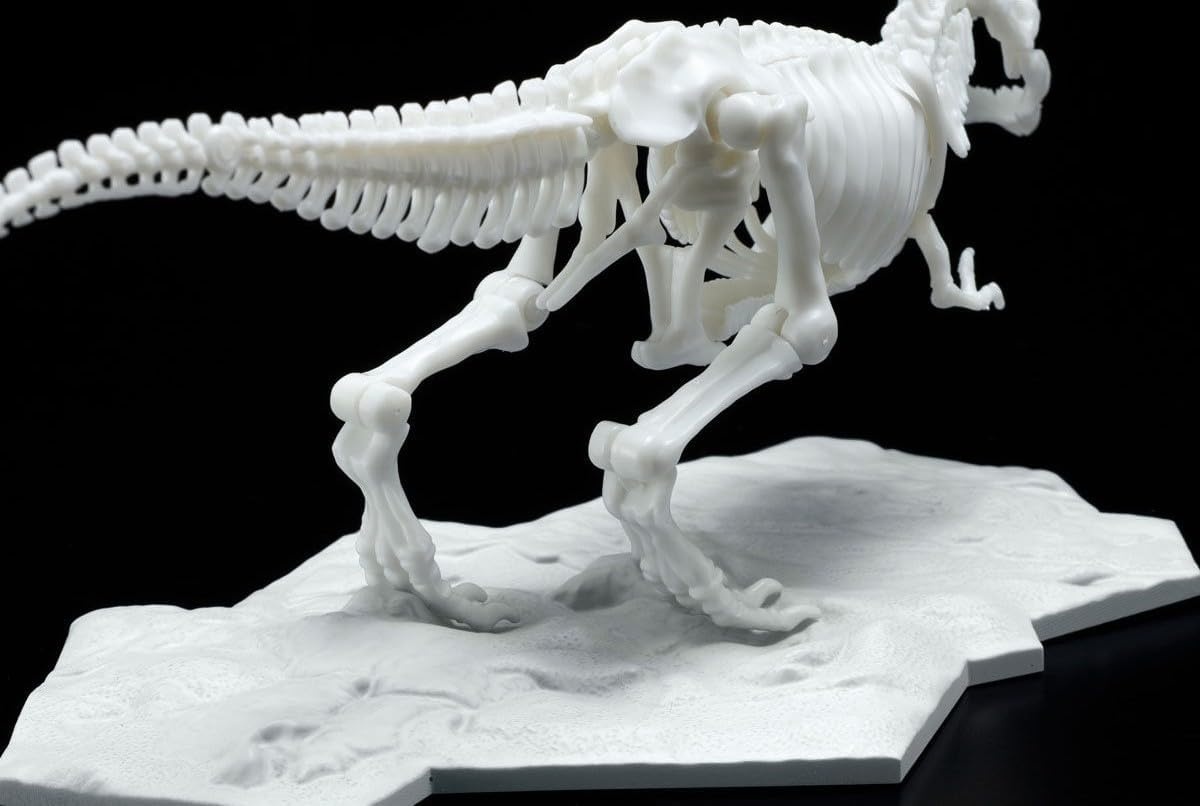 Bandai Hobby – Tyrannosaurus, Bandai Spirits Limex Skeleton Dinosaur Model Kit