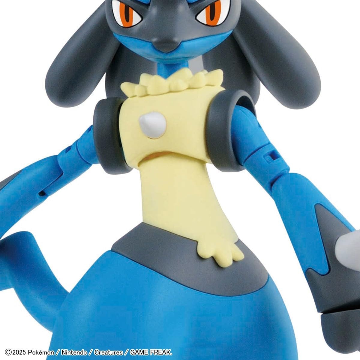 Bandai Hobby – Pokémon – 01 Magikarp, Bandai Spirits Pokémon Big Model Kit(Riolu & Lucario)