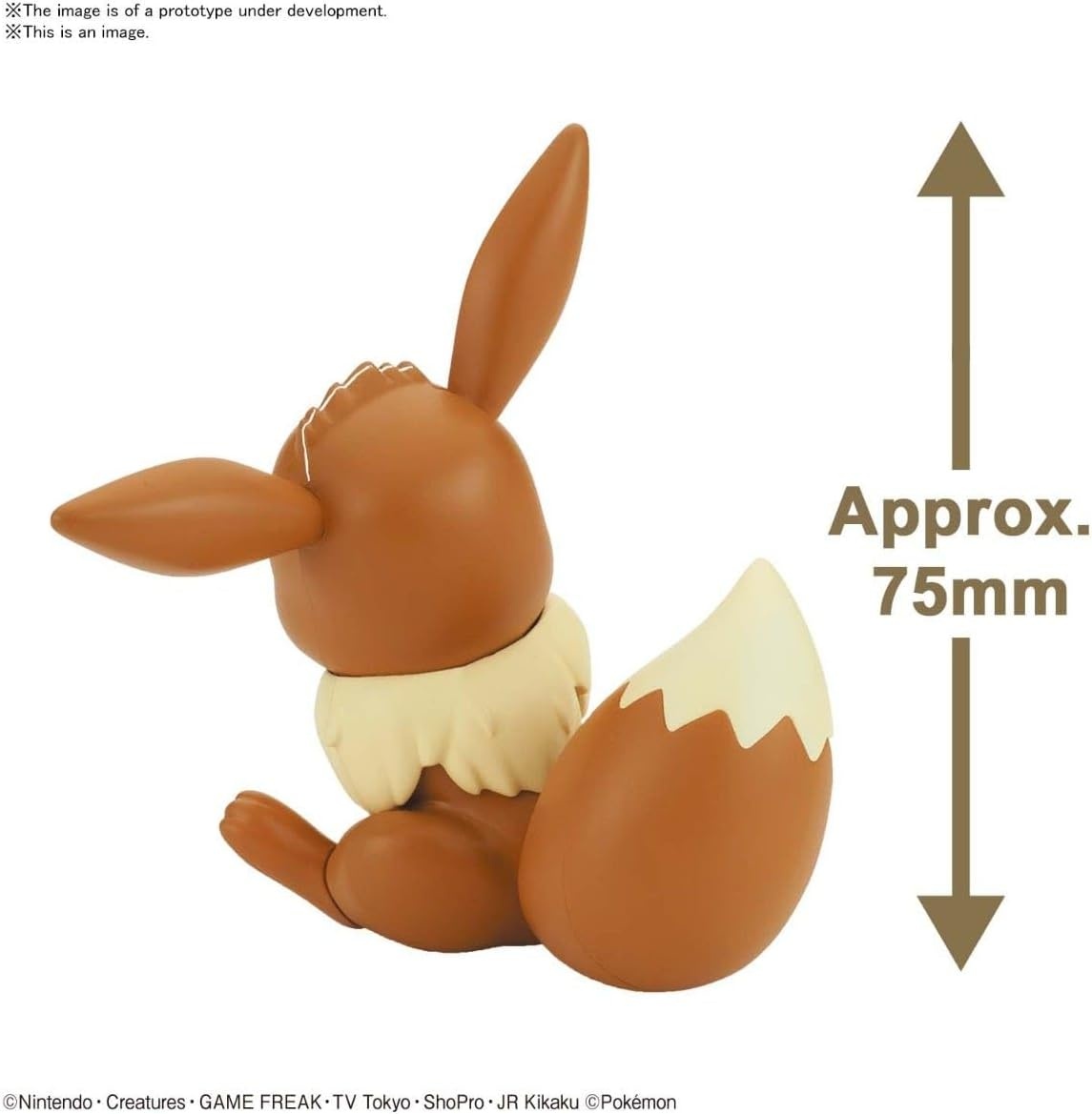 Bandai Hobby – Pokémon – Zekrom, Bandai Spirits Pokémon Model Kit(Eevee)